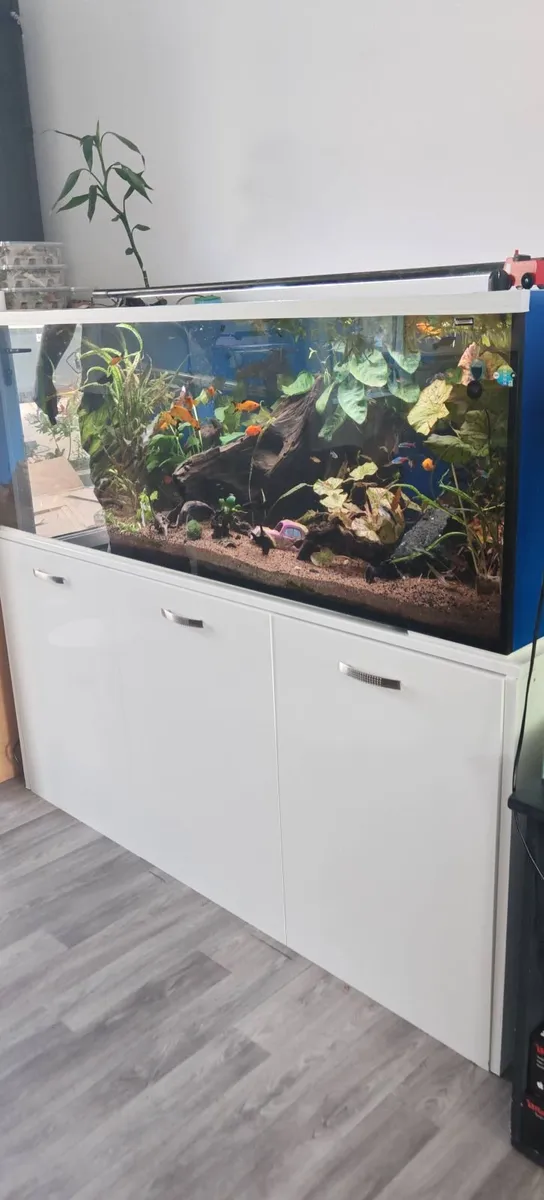 Fish tank - Image 1