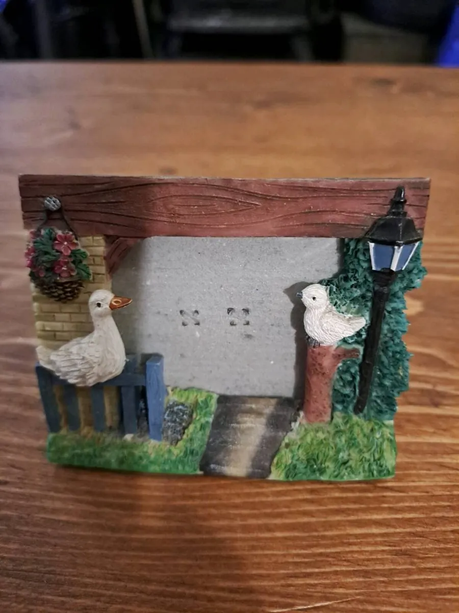 Ducks & Pigeon picture frame - Image 1