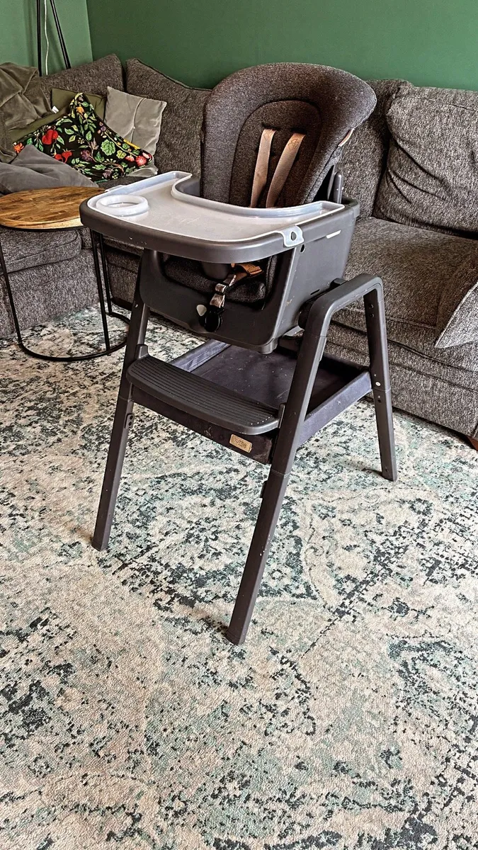 Baby Chair - Image 1