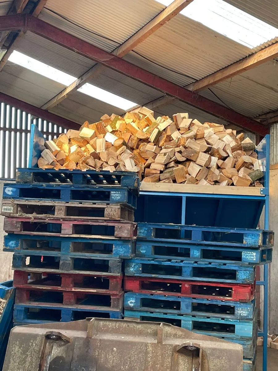 firewood Bagger - Image 3
