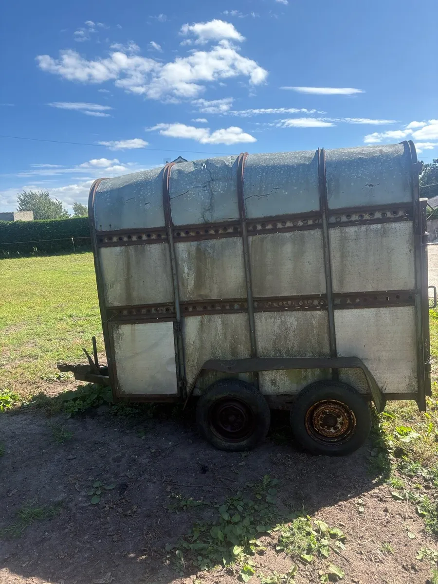 Cattle trailer - Image 4