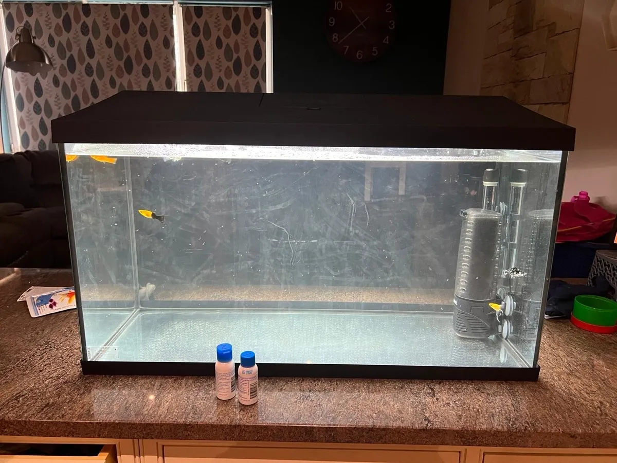 Finish tank - Image 2