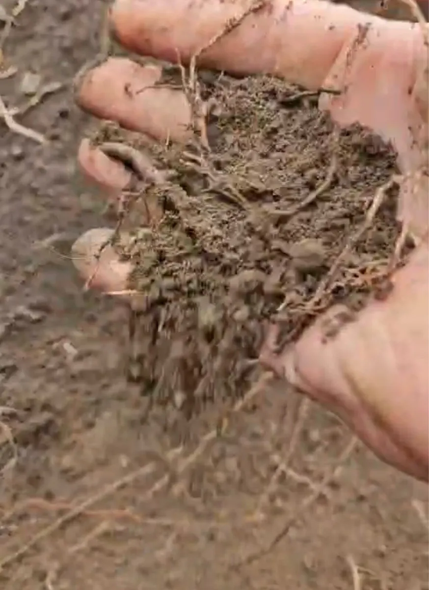 Top soil - Image 3