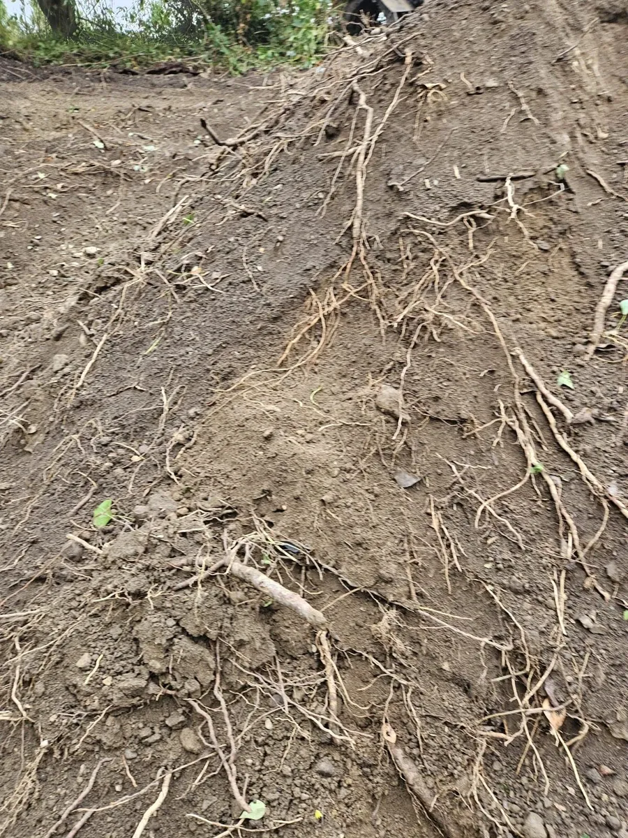 Top soil - Image 2
