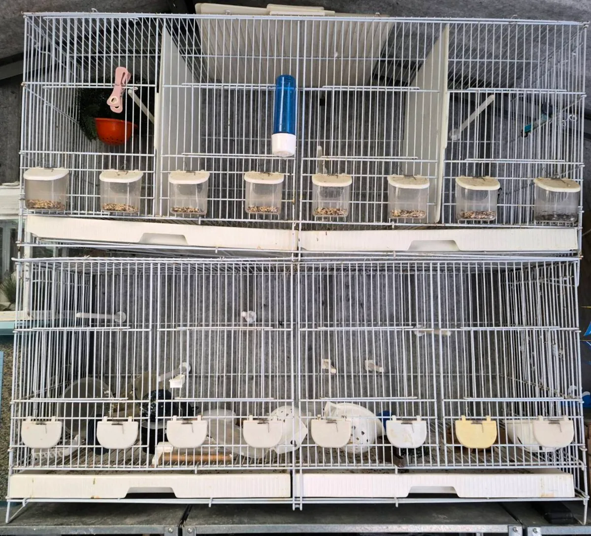 Budgie / breeding cage - Image 2