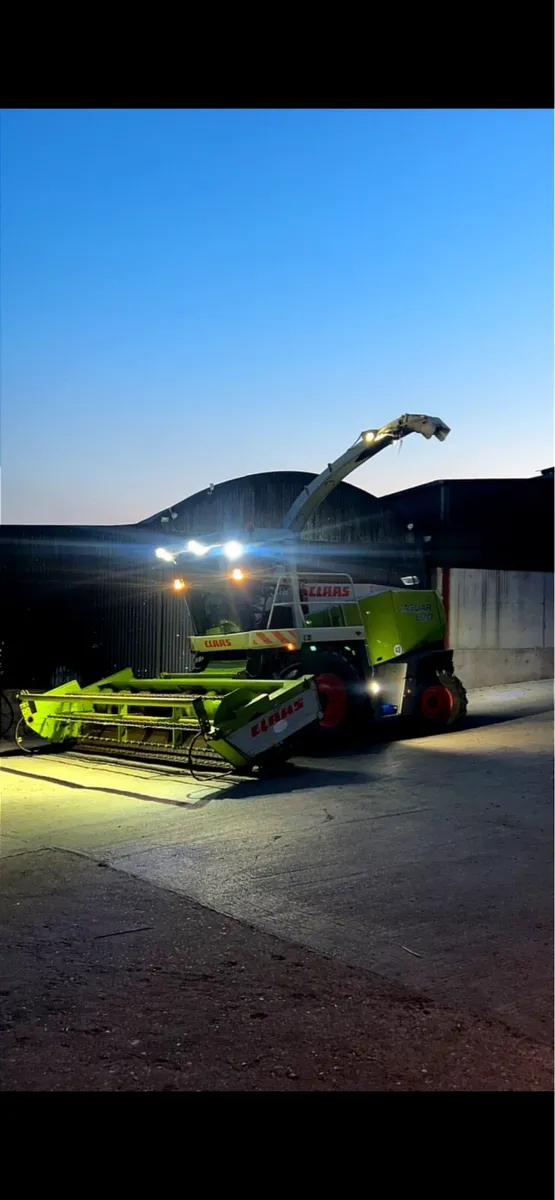 Claas wholecrop header - Image 1