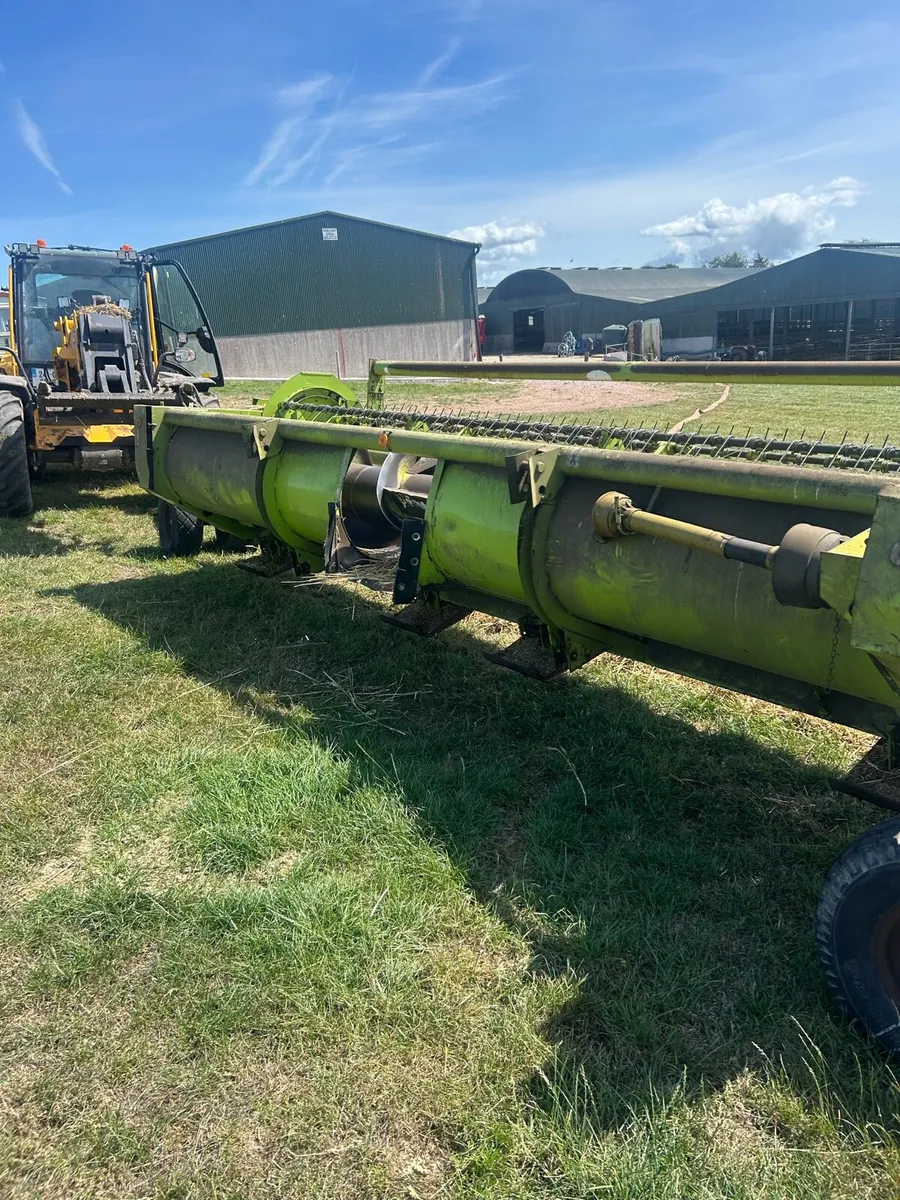 Claas wholecrop header - Image 2