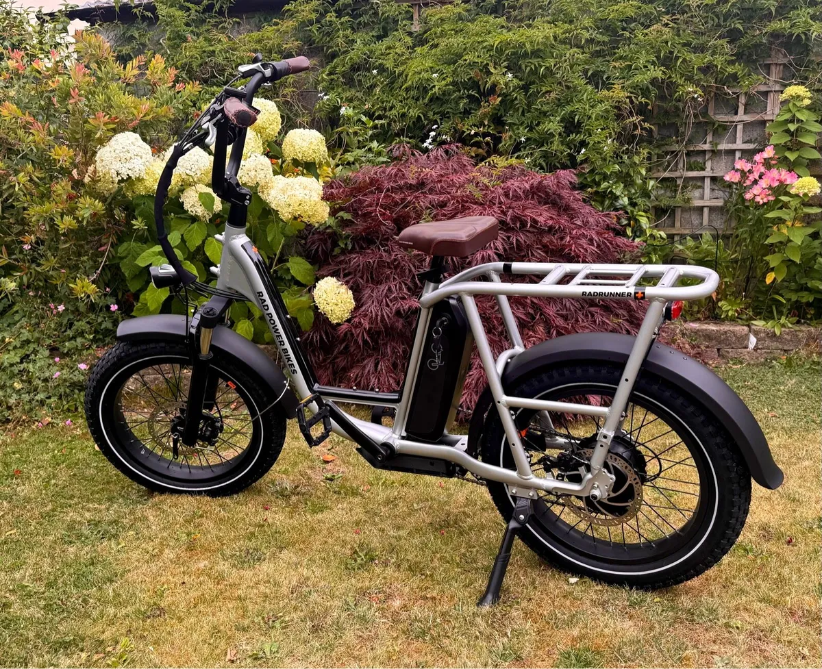 Radrunner Plus E-bike - Image 1