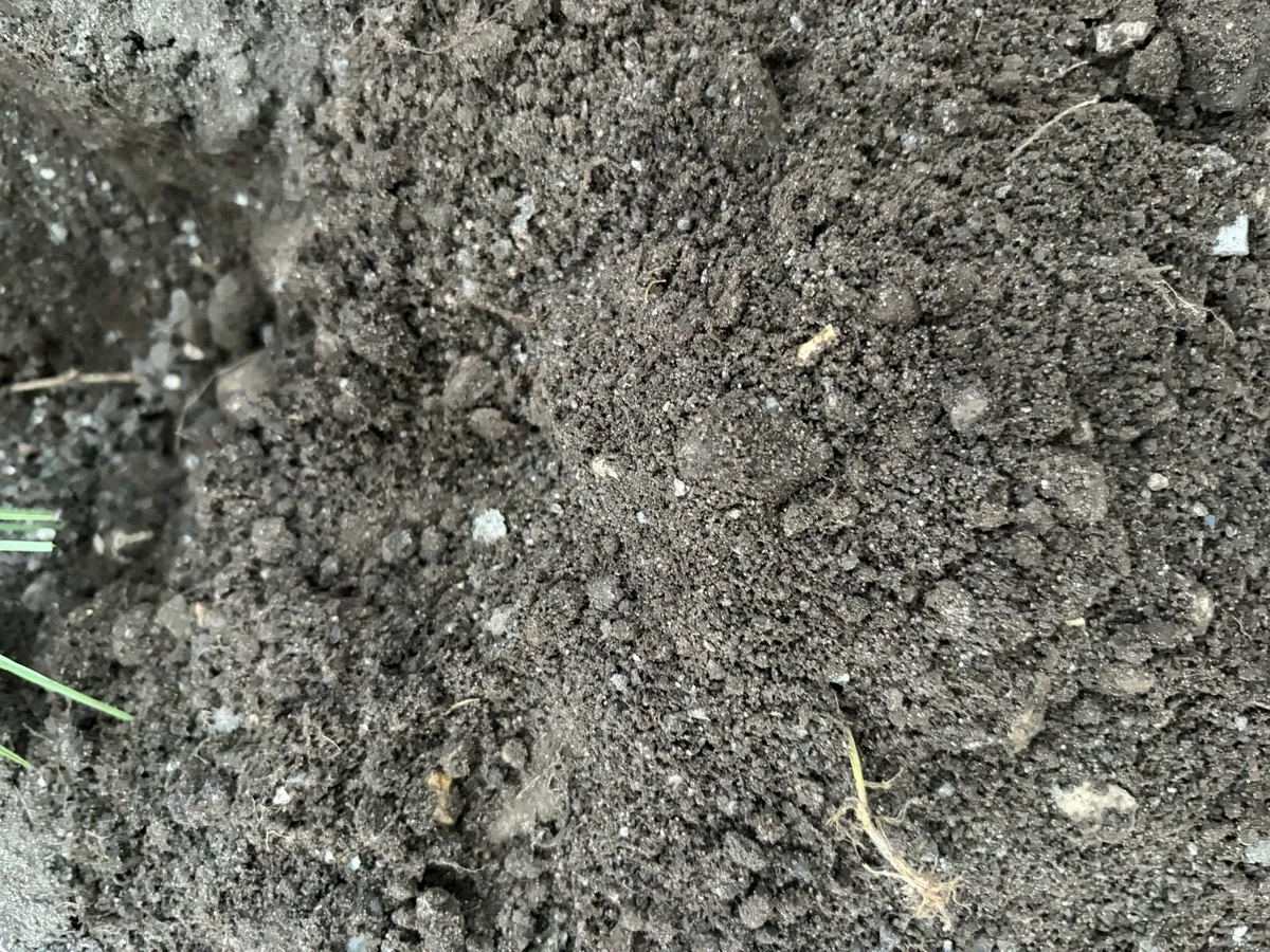Topsoil - Image 4