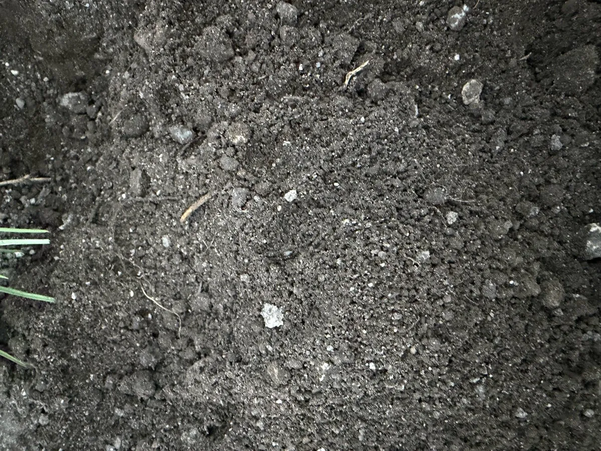 Topsoil - Image 3