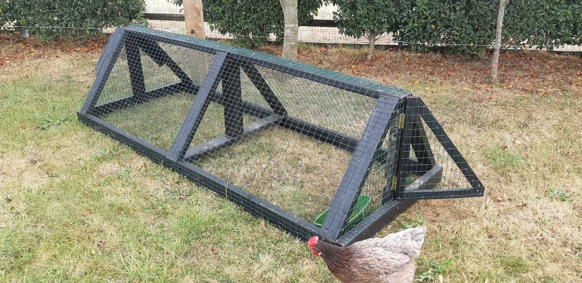 Chicken run - Image 4