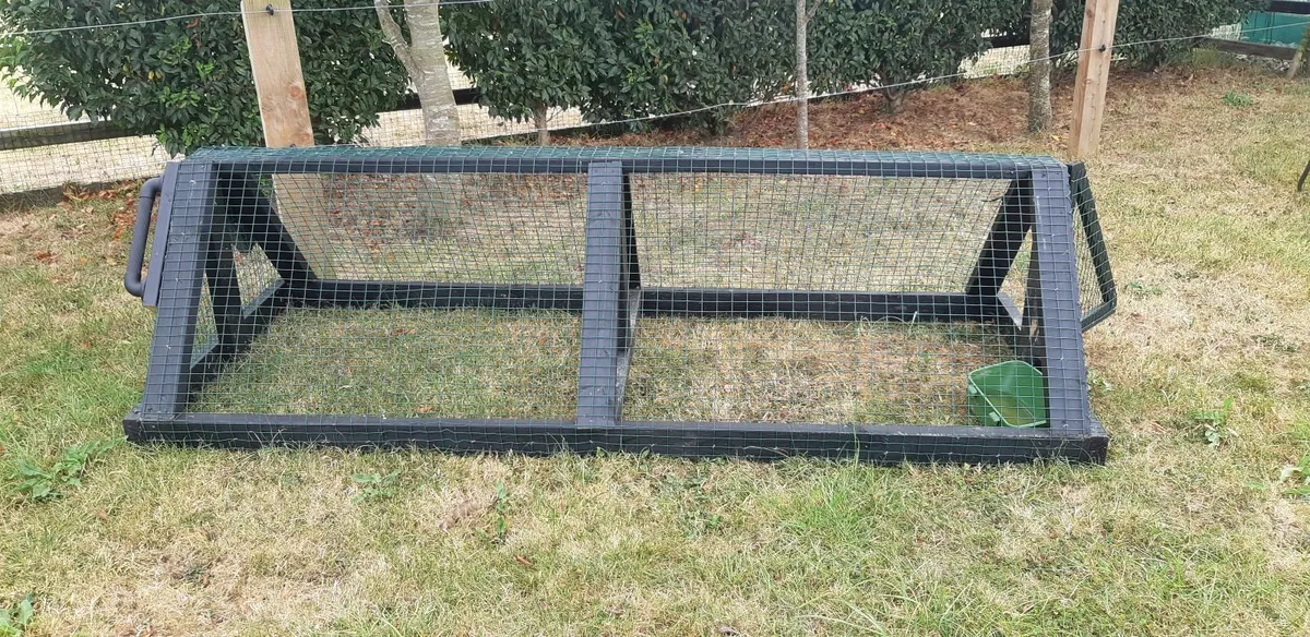 Chicken run - Image 1