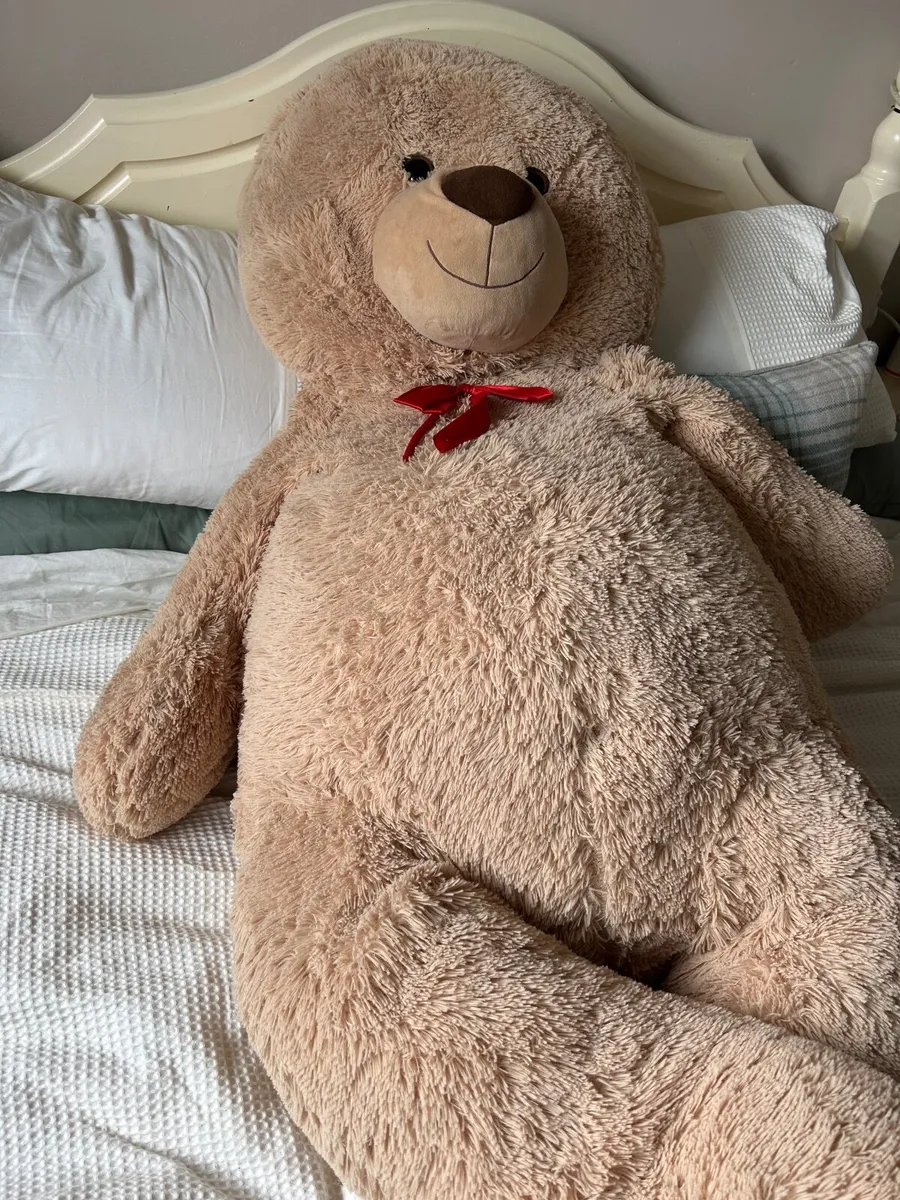 Billy the Bear - Image 4