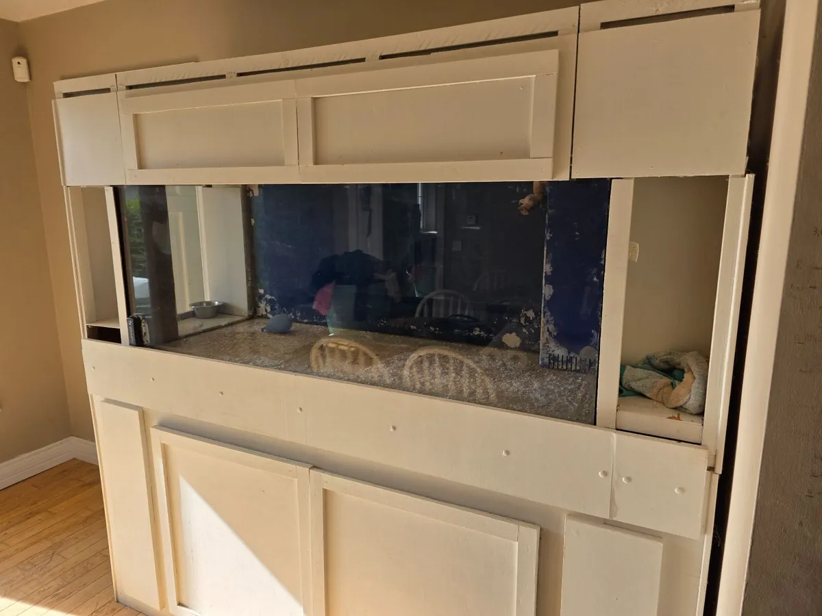 500L Custom Marine Aquarium — Full Setup | €1,000 - Image 3