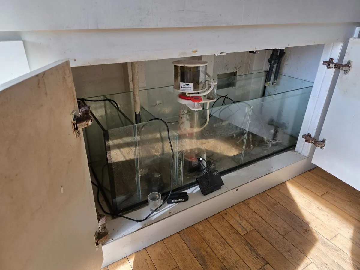 500L Custom Marine Aquarium — Full Setup | €1,000 - Image 4