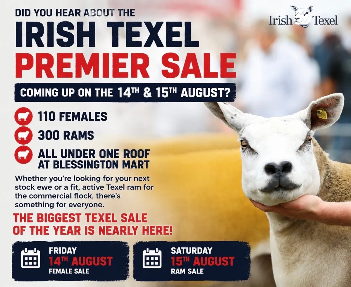 Texel Premier Sale