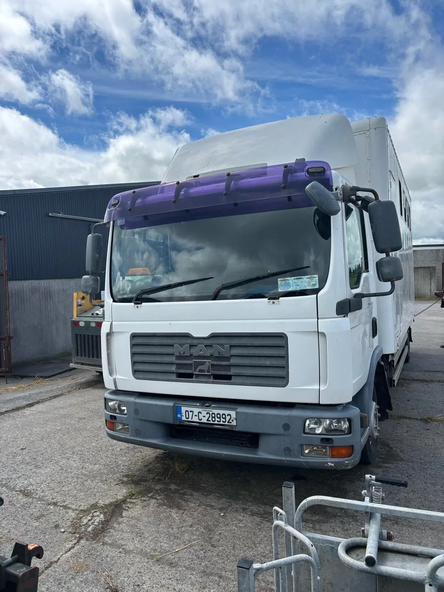 MAN 5 Horse Truck - Image 2