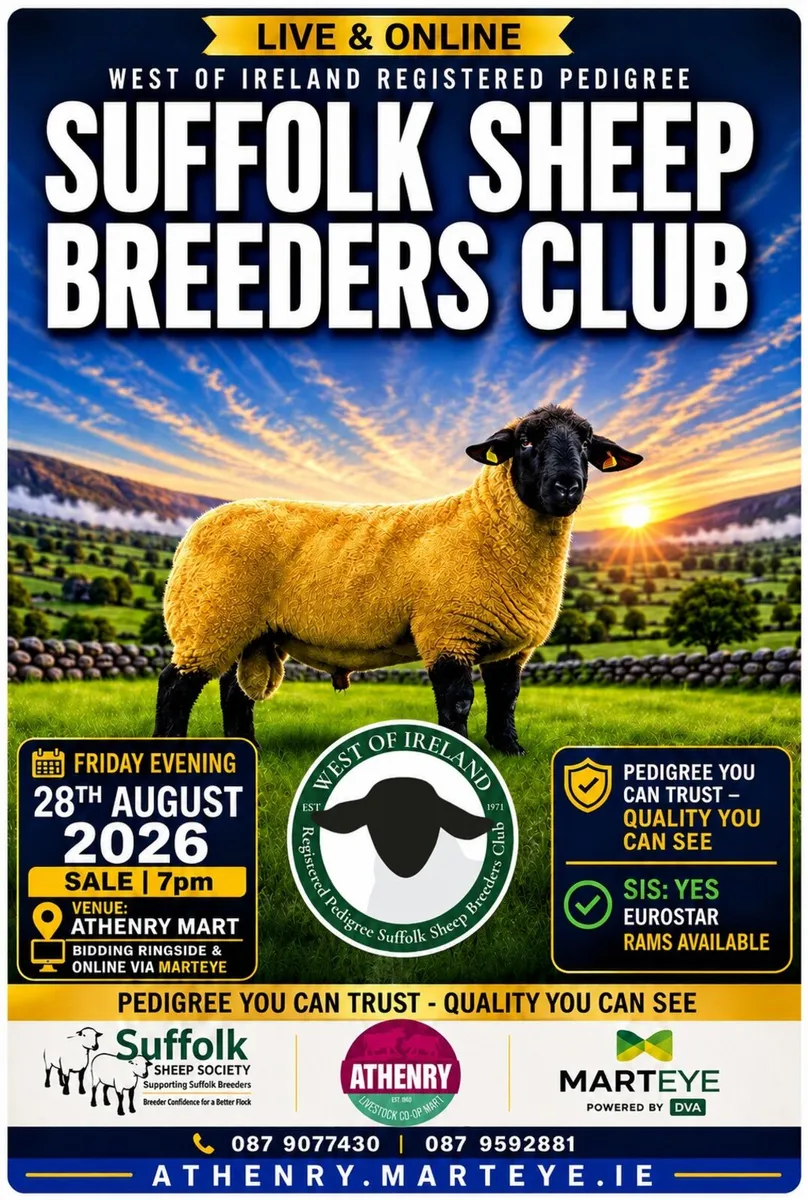 ATHENRY ELITE  SUFFOLK RAM SALE - Image 1