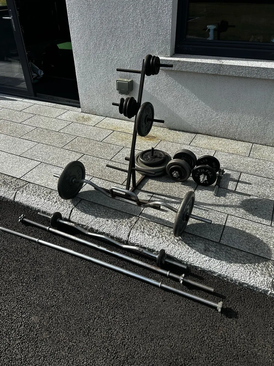 Weights and bars gym - Image 2