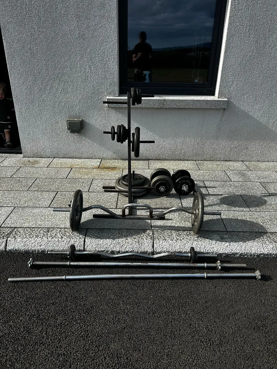 Weights and bars gym - Image 1