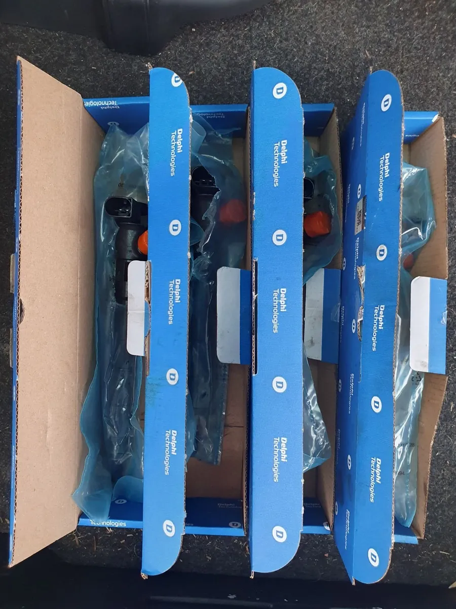 Injectors Delphi - Image 1