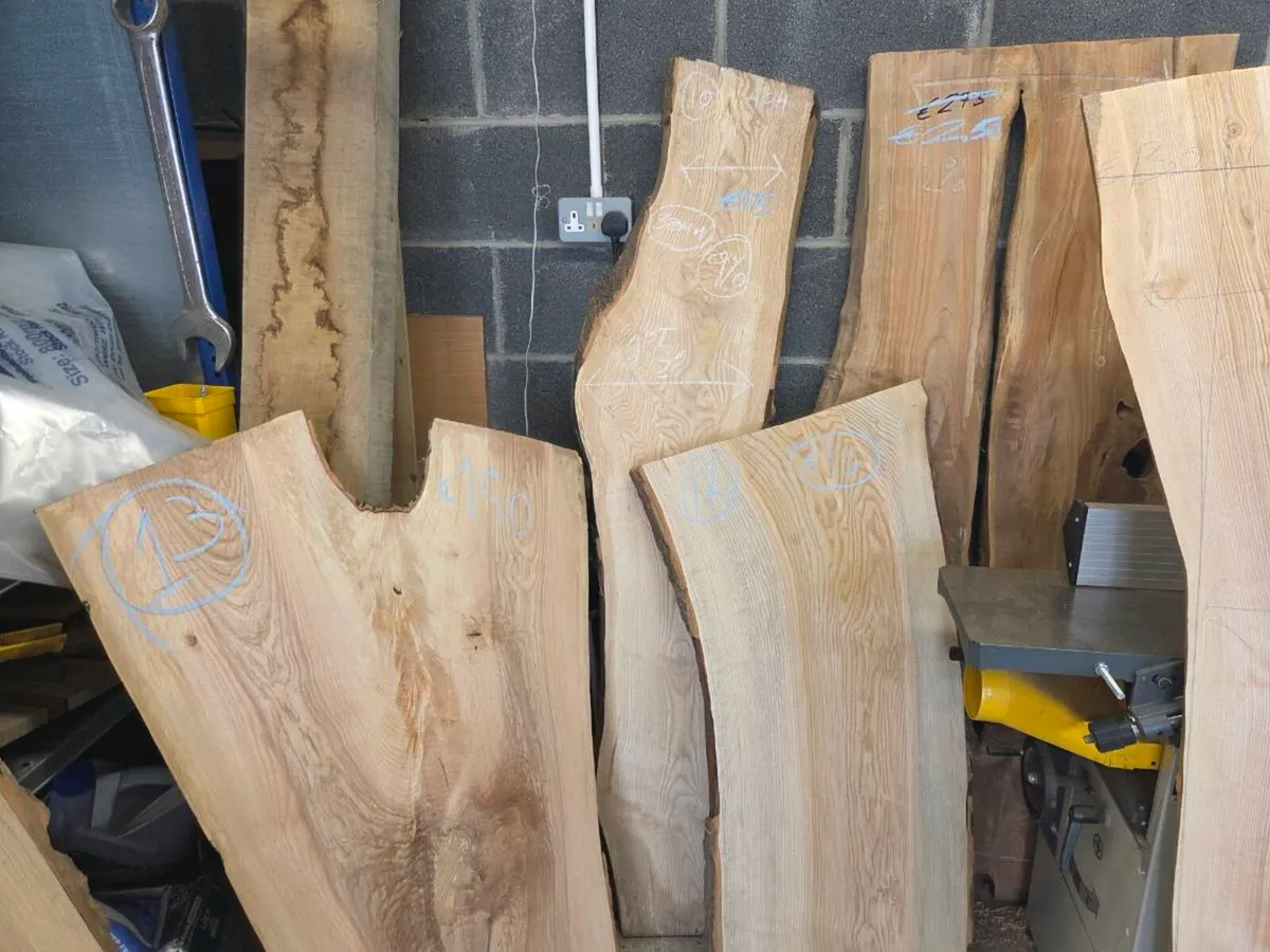 Live Edge Timber Slabs – Ash, Sycamore & Cherry - Image 4