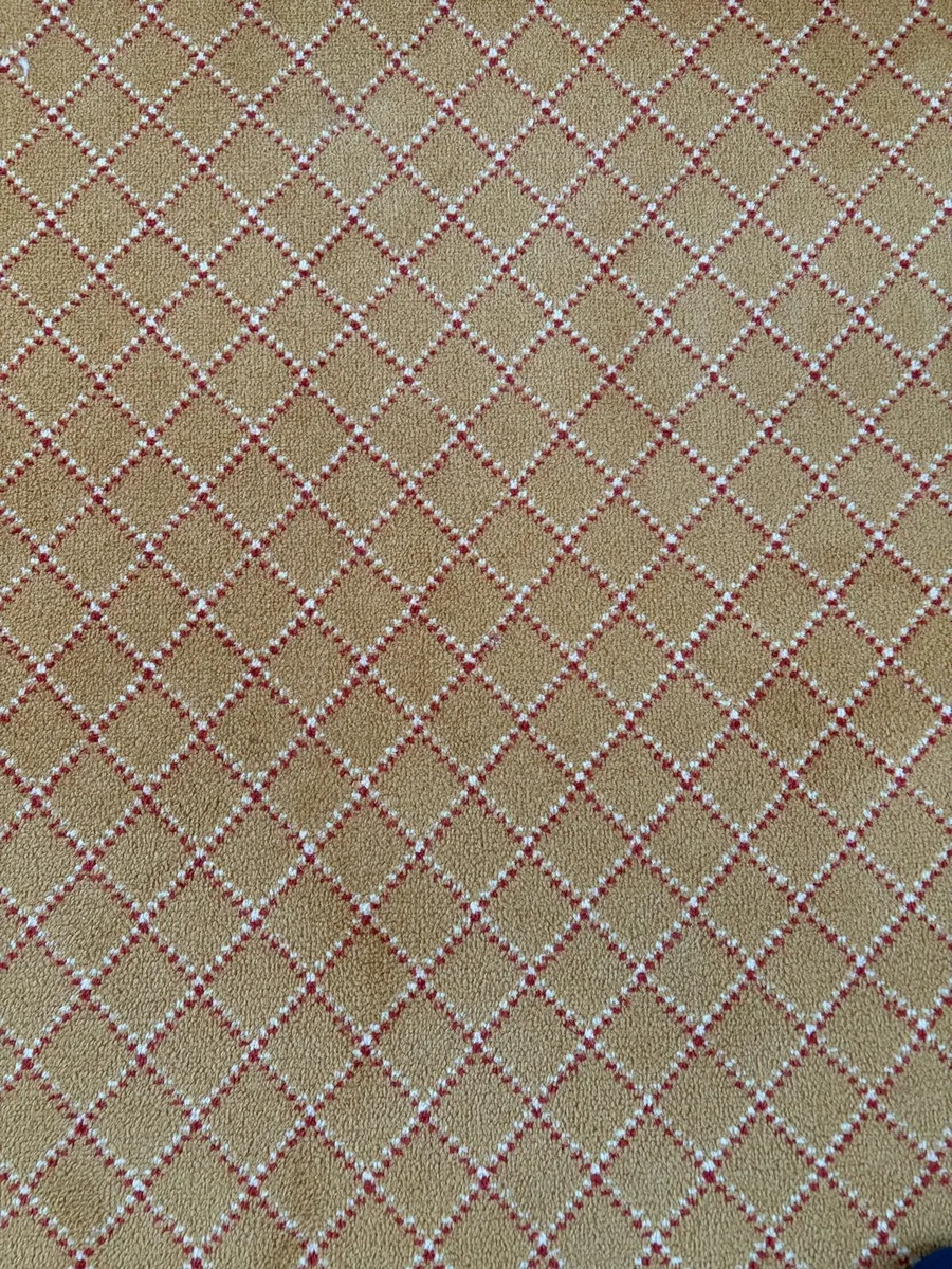 Carpet (free to take away)