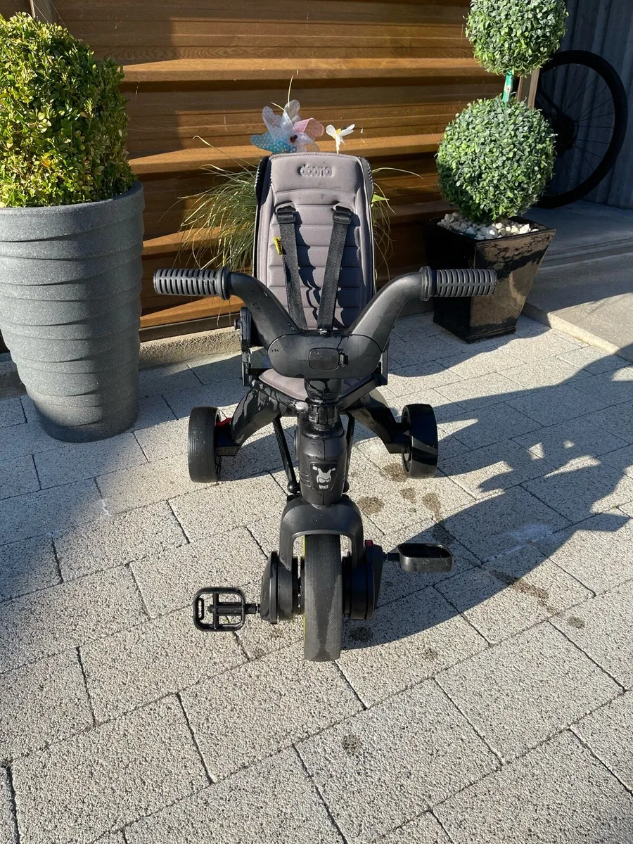 Trike - Image 2