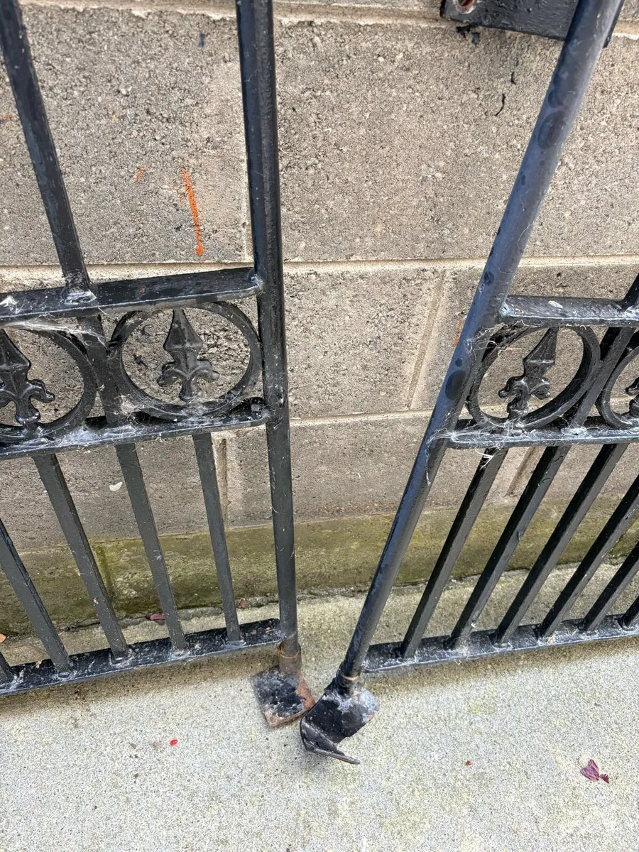 Pair of Wrought Iron Gates for sales - Image 3