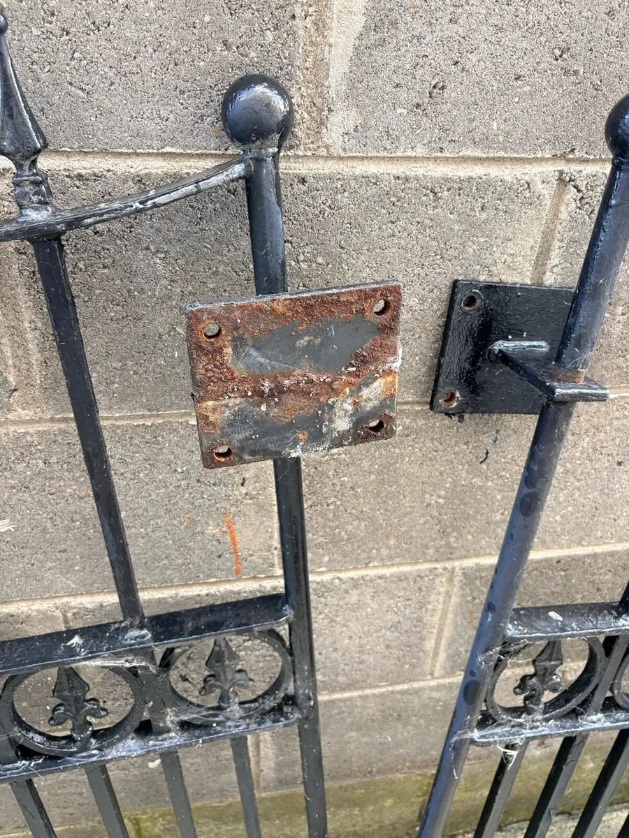 Pair of Wrought Iron Gates for sales - Image 4