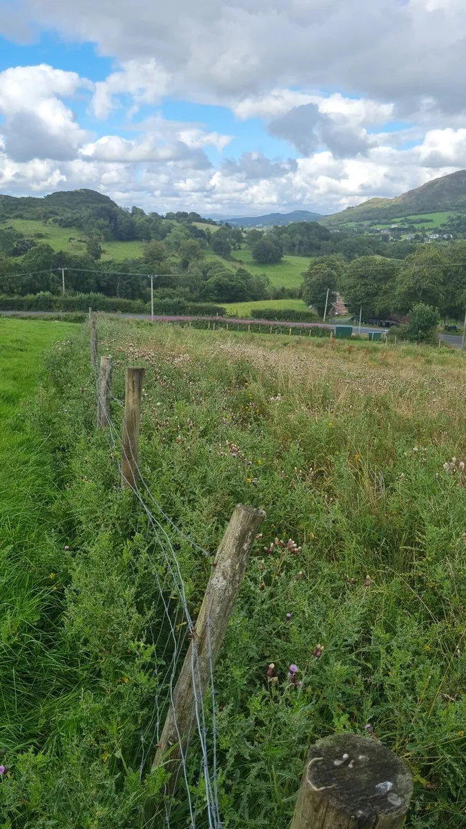 Site - Image 2