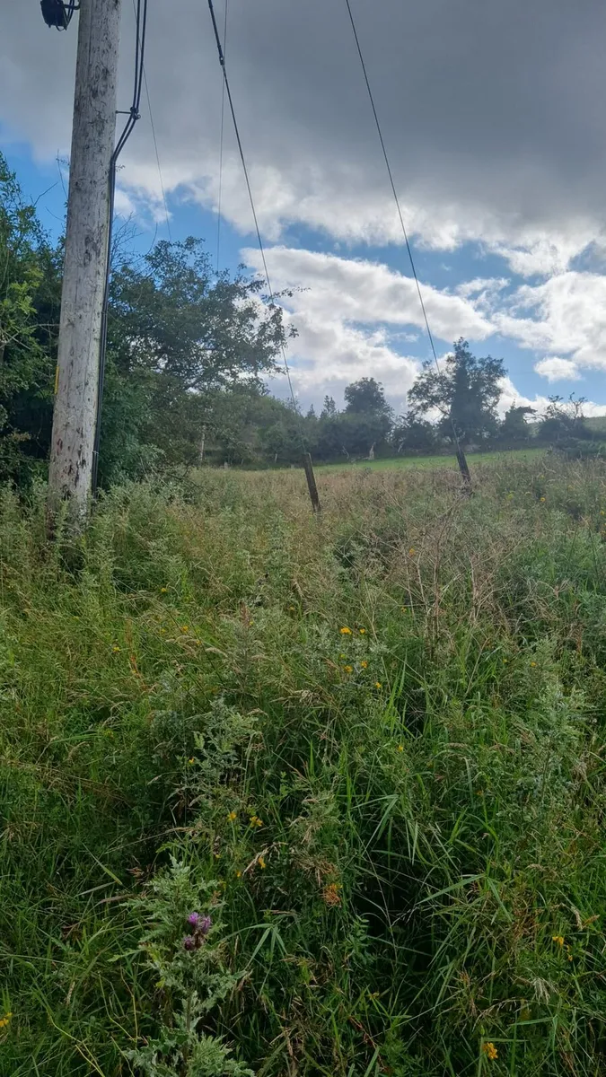 Site - Image 3