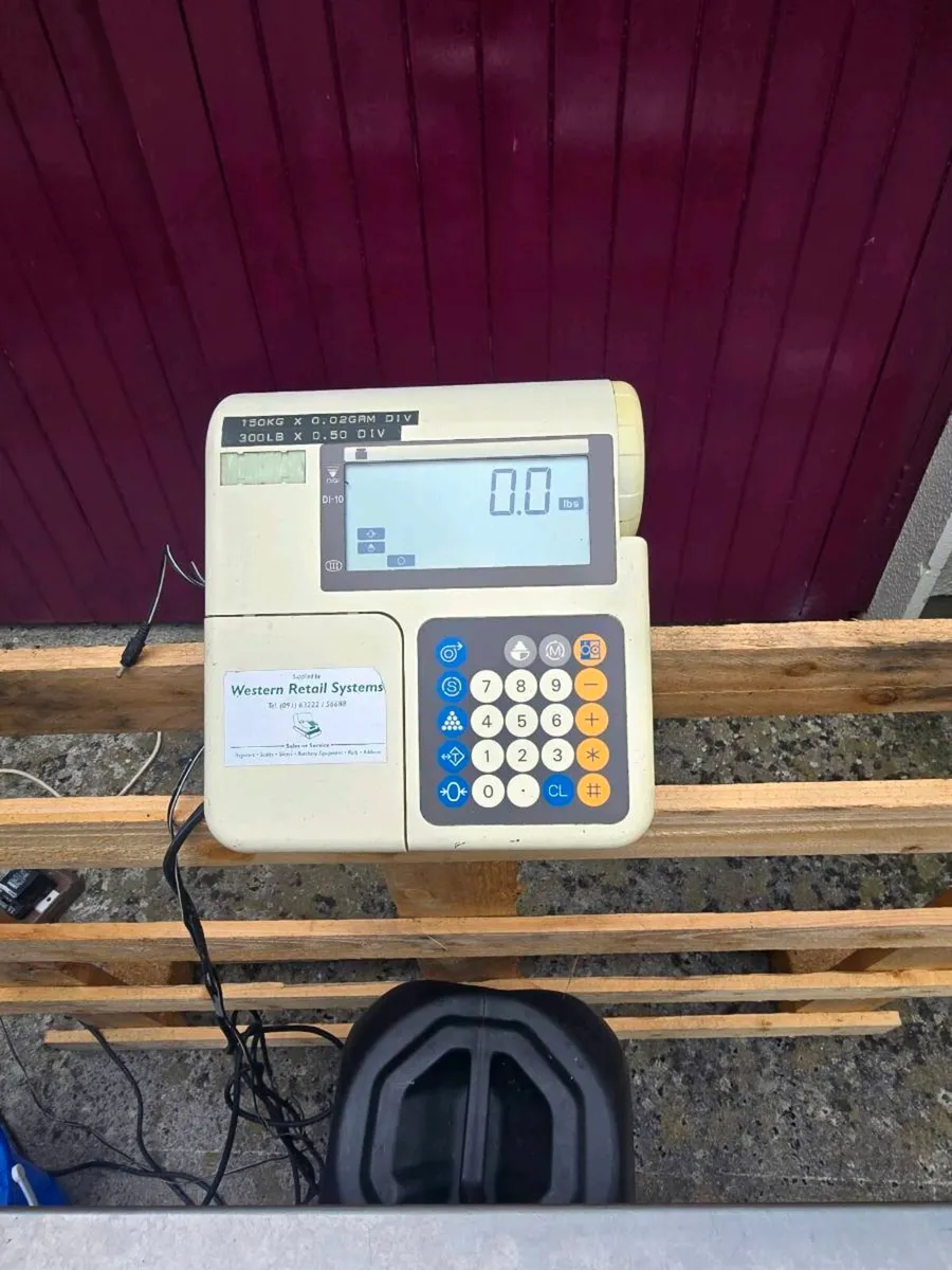 PLATFORM SCALES - Image 2