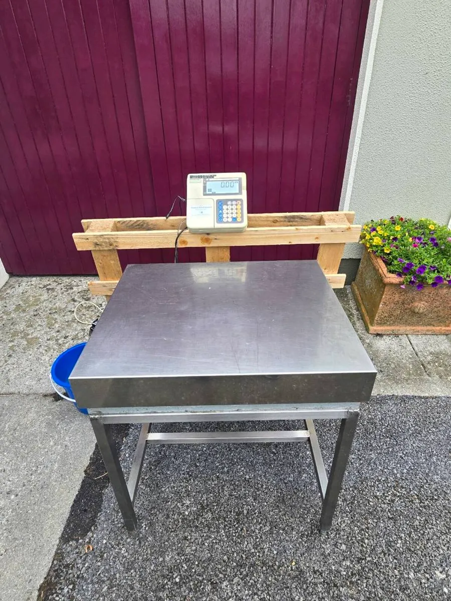 PLATFORM SCALES - Image 1