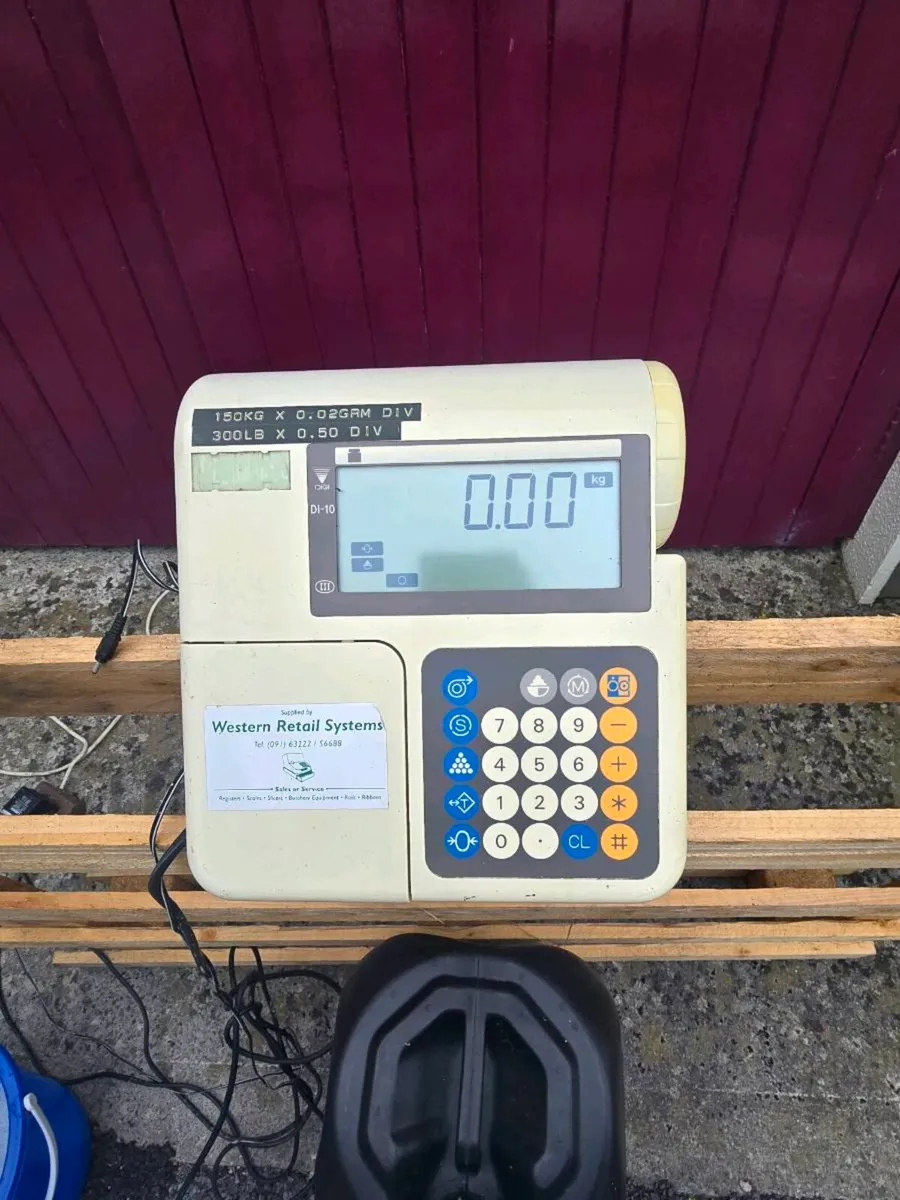 PLATFORM SCALES - Image 4
