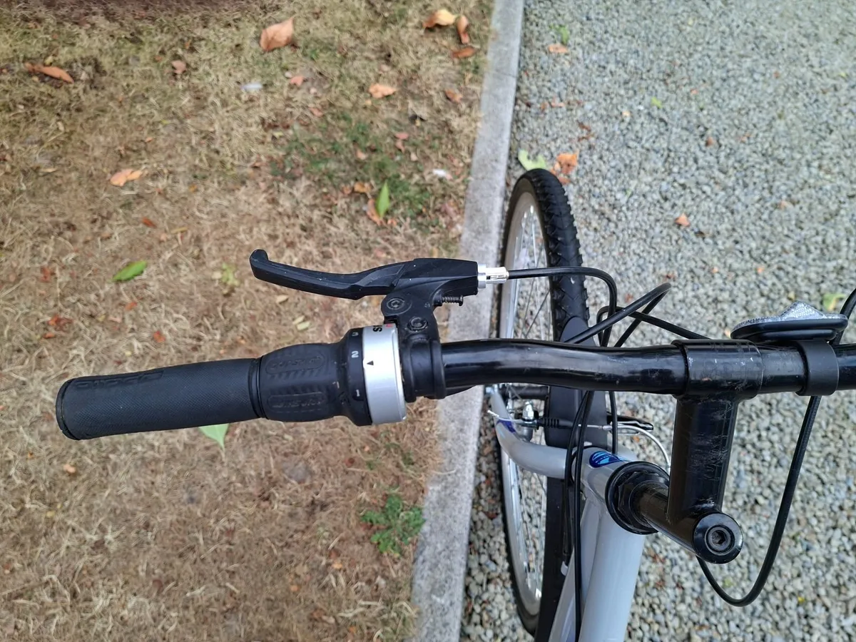 Cycles - Image 4