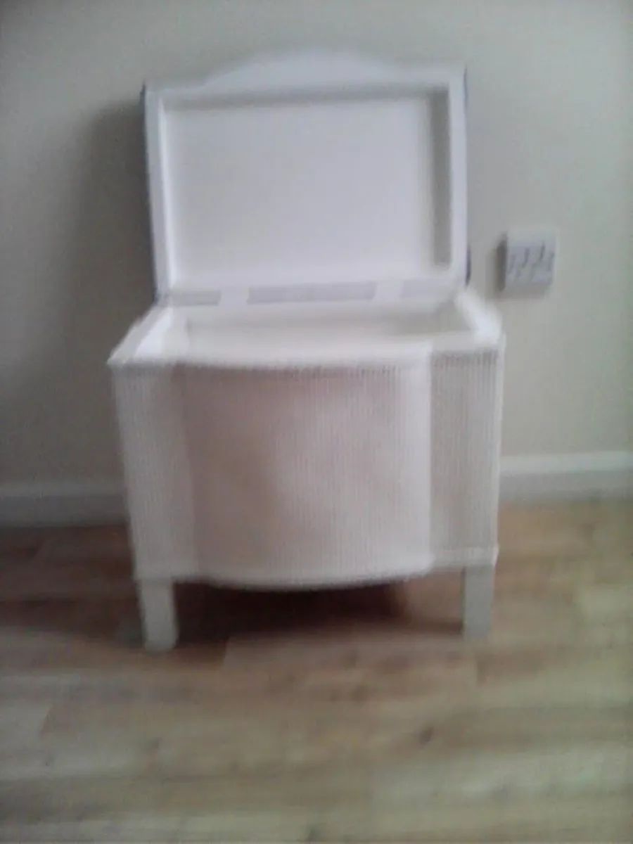 Vintage Lloyd Loom Chair + Loom-Style Storage - Image 2