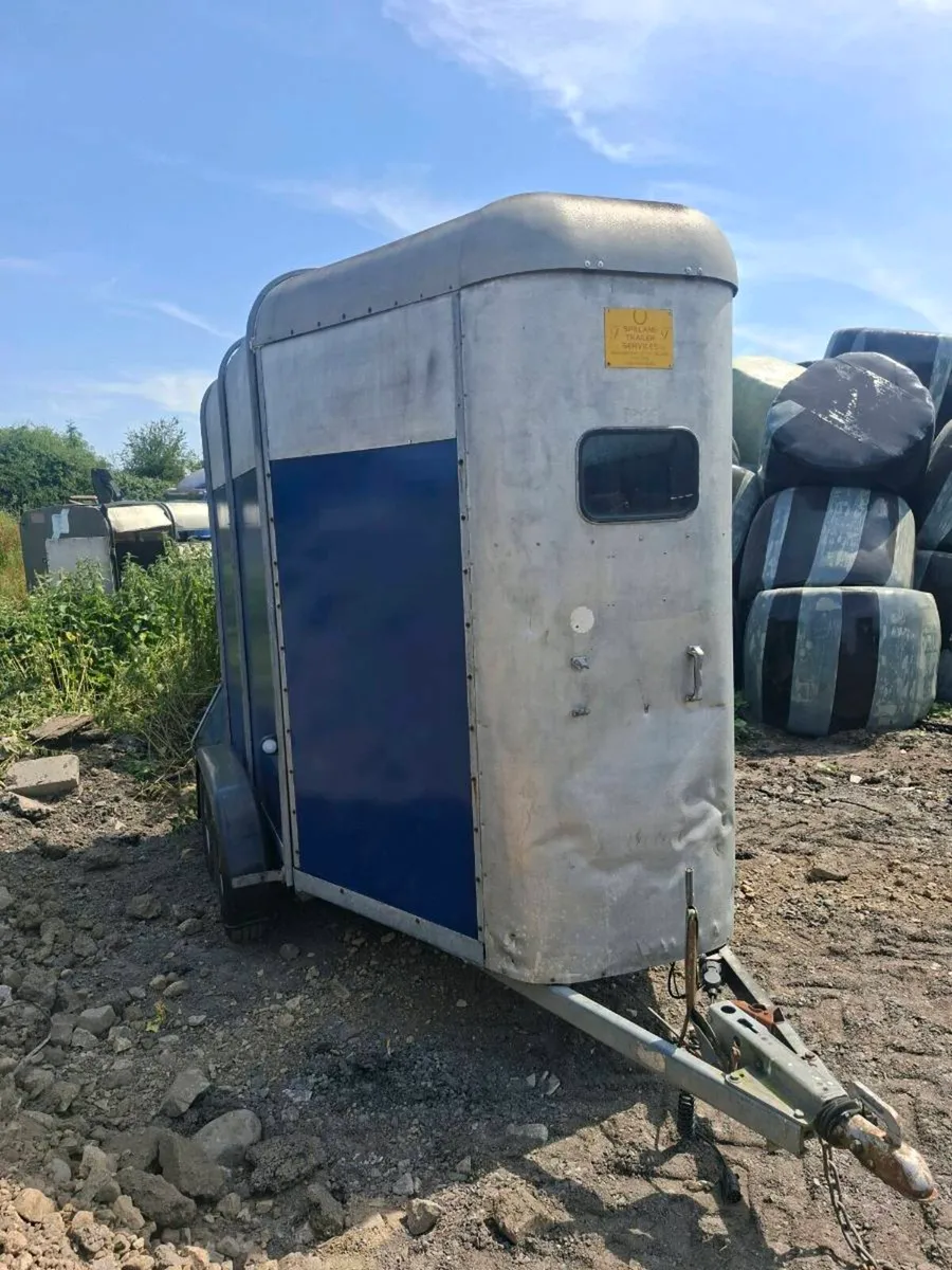 IFOR WILLIAMS 505 HORSE BOX - Image 2