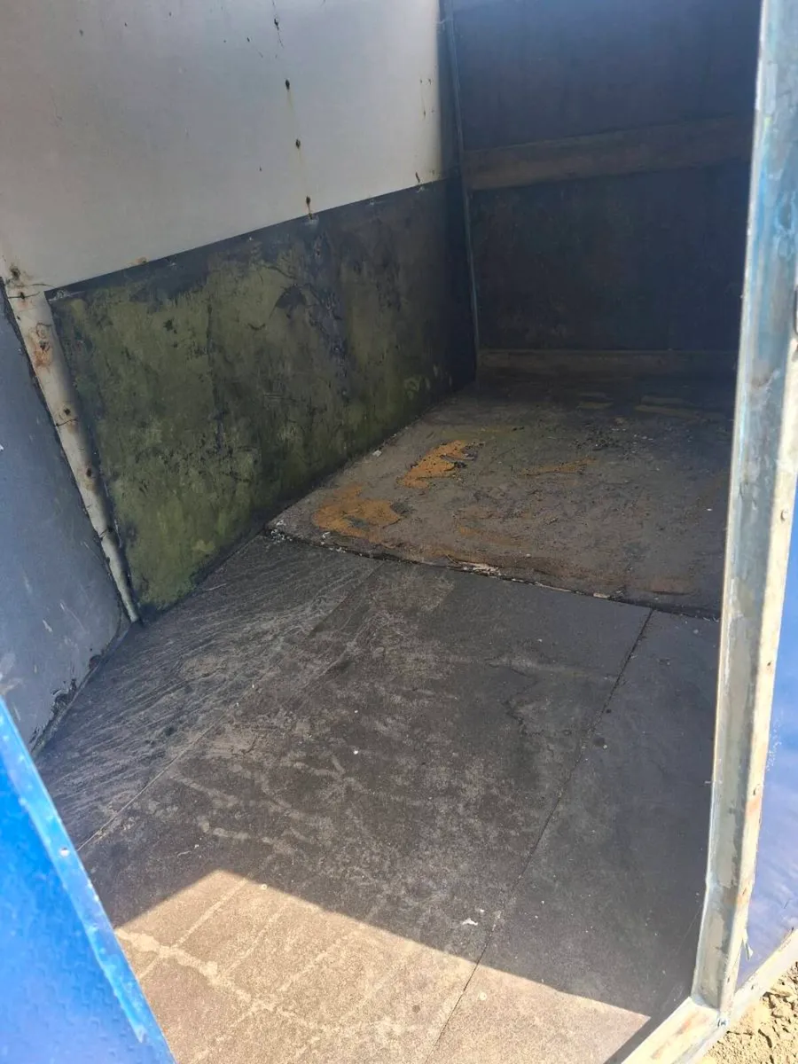 IFOR WILLIAMS 505 HORSE BOX - Image 4