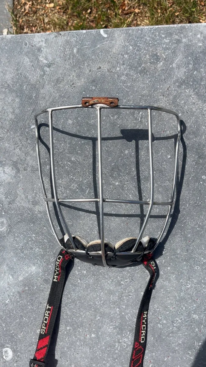 Oldstyle wide hinge gerry cleere - Image 1