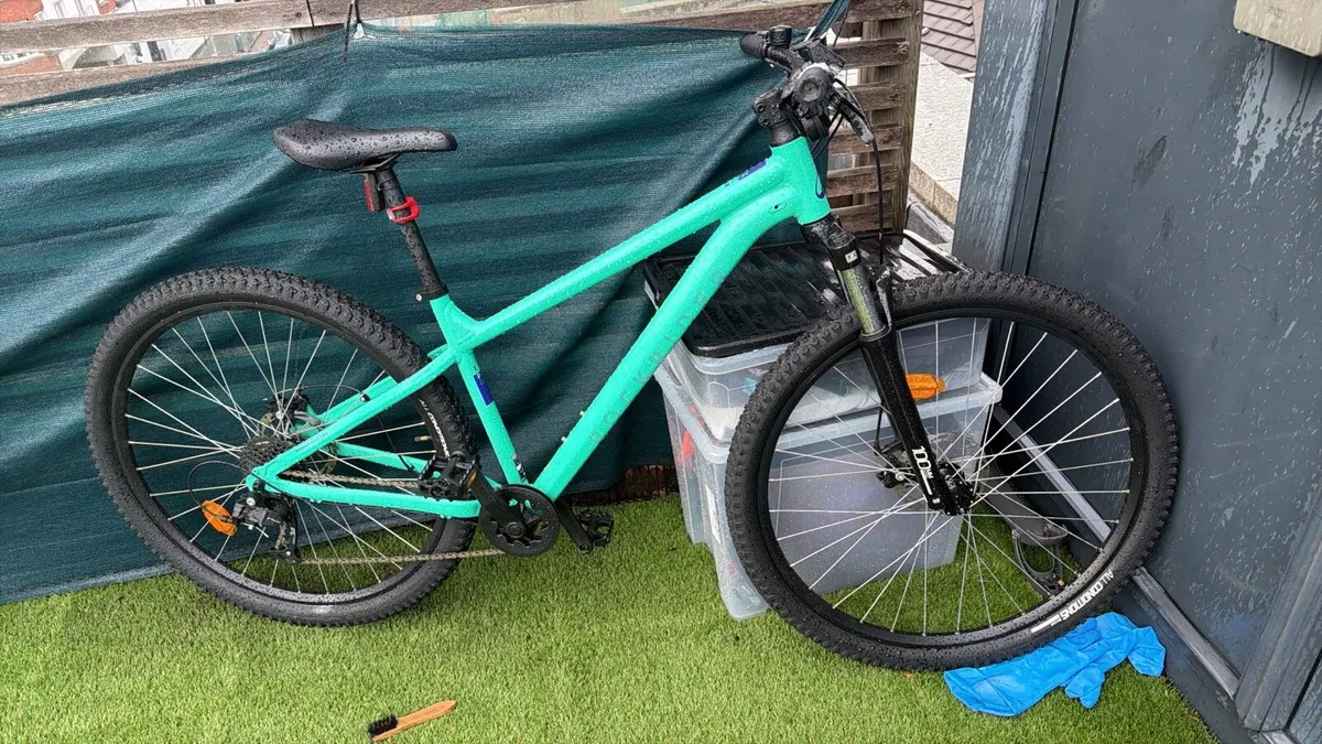 Bicycle - Image 2