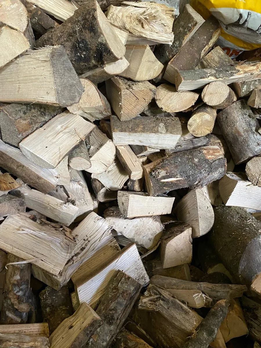 Fire wood - Image 1