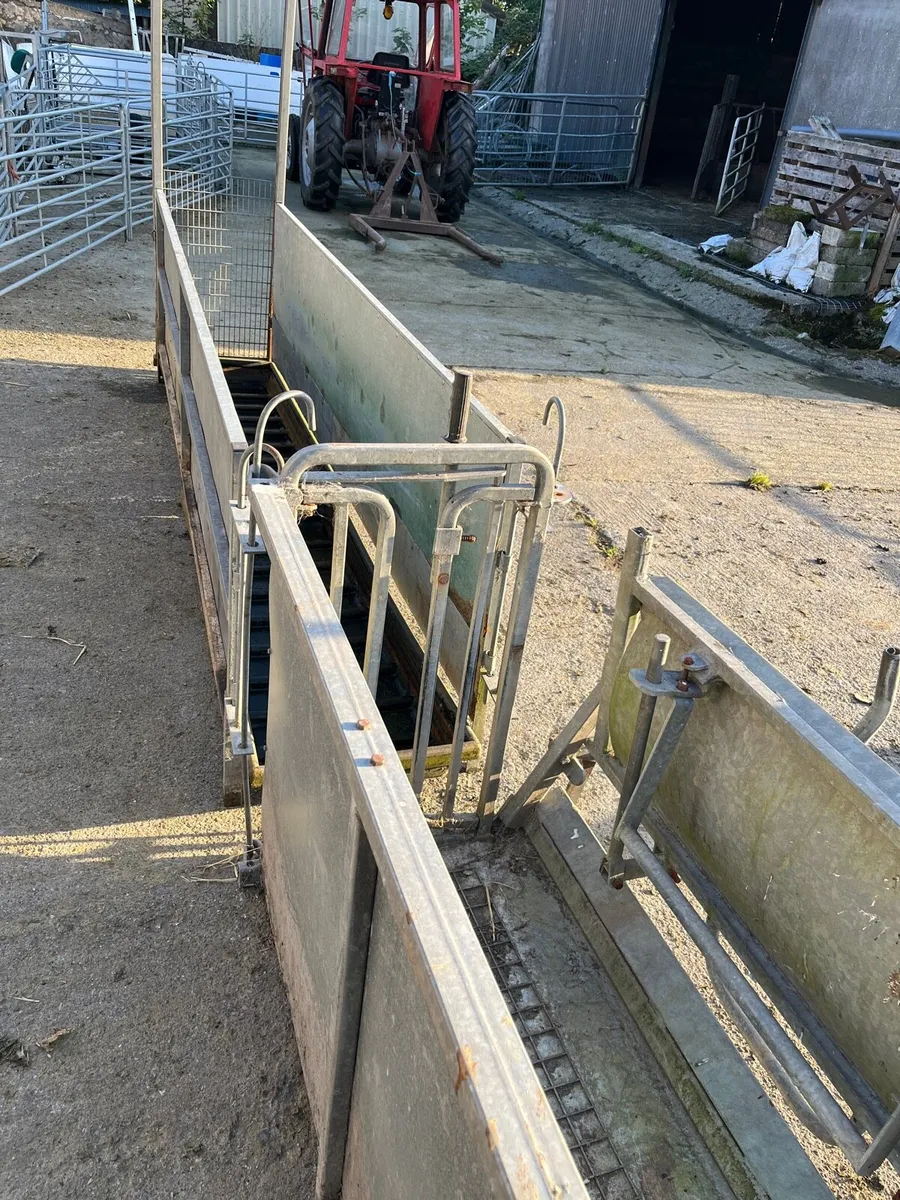 Rollover cart and foot bath - Image 2