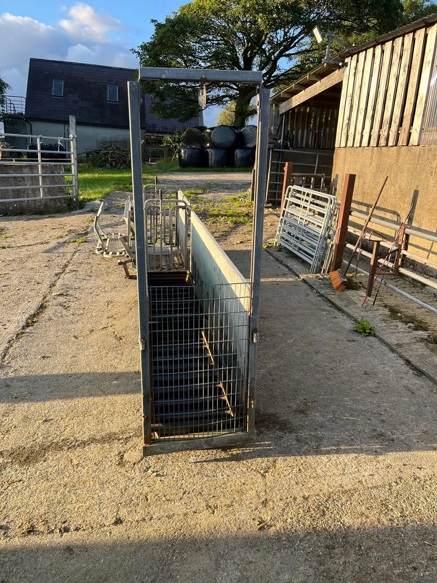 Rollover cart and foot bath - Image 3