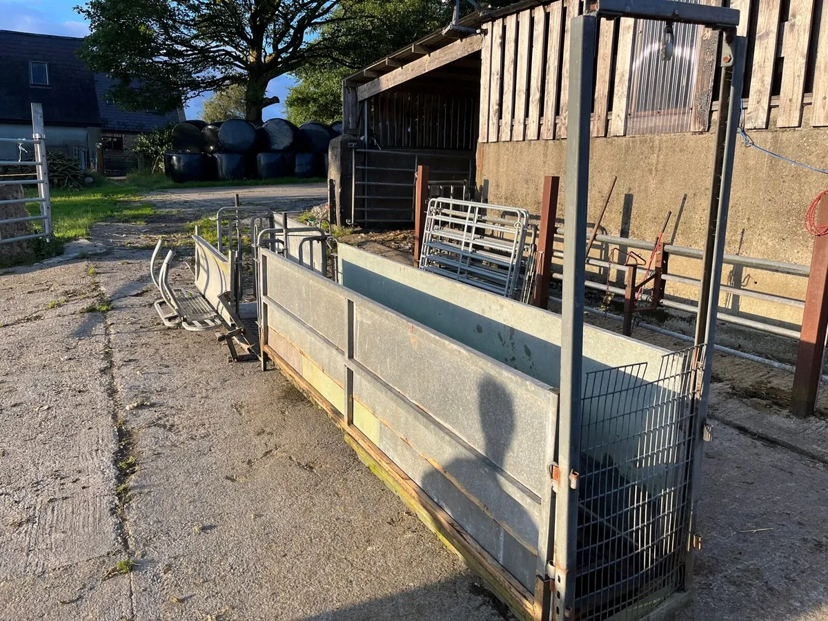 Rollover cart and foot bath - Image 4