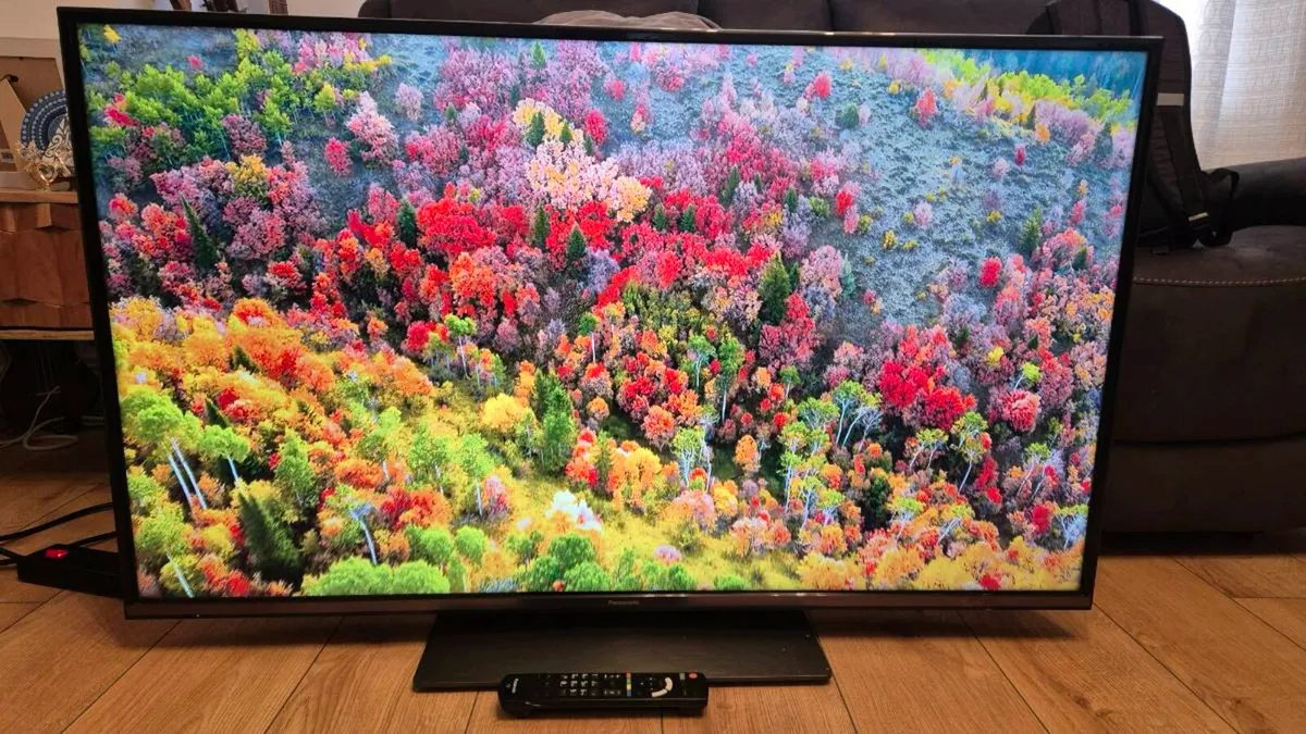 Panasonic 49” 4K HDR Smart TV - Image 4