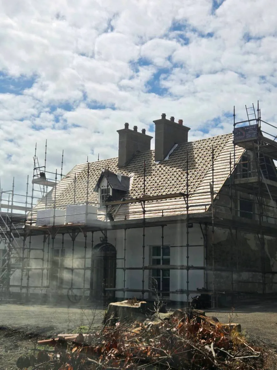 Scaffolding and Roofing - Image 1
