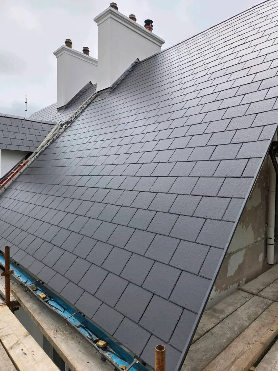 Scaffolding and Roofing - Image 3