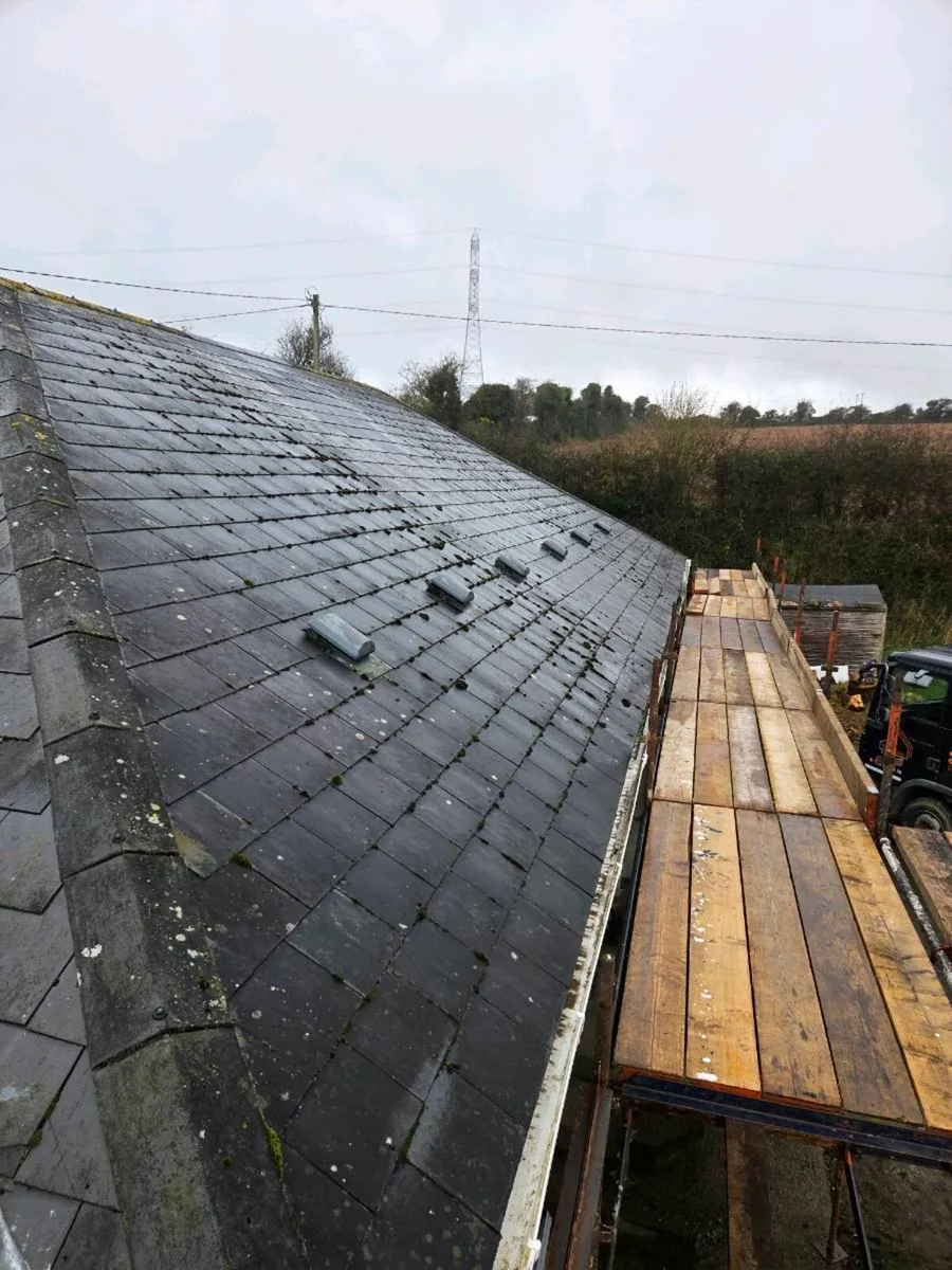 Scaffolding and Roofing - Image 4