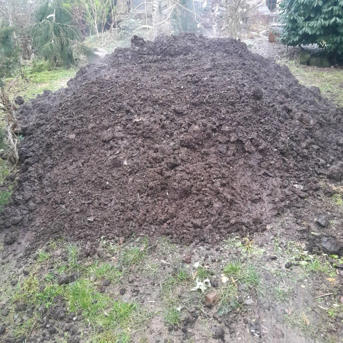 Mushroom compost for sale - Image 1